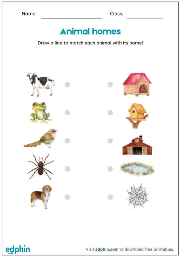 Animal Houses Matching Activity Worksheet With Answers