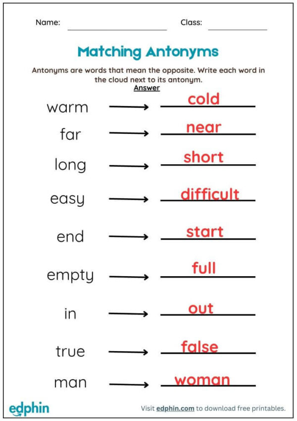 Matching Antonyms Worksheet With Answer - Image 3