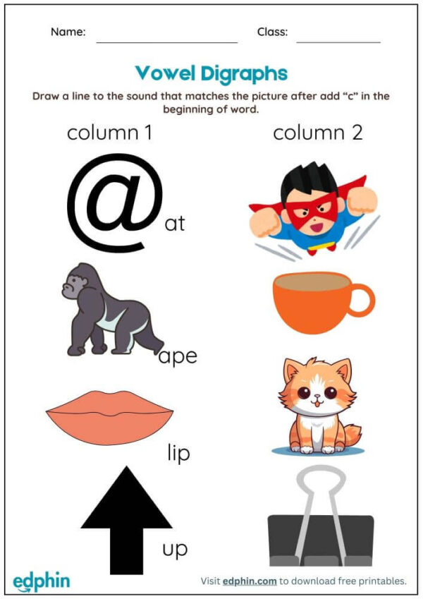 Adding Phonemes Worksheet With Answer - Image 3