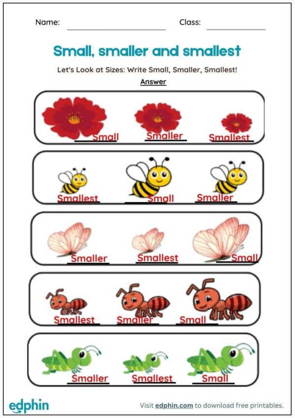 Biggest vs Smallest Worksheet With Answers - Image 3