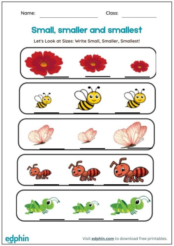 Biggest vs Smallest Worksheet With Answers - Image 2