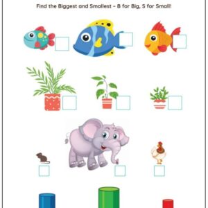 Biggest vs Smallest Worksheet With Answers