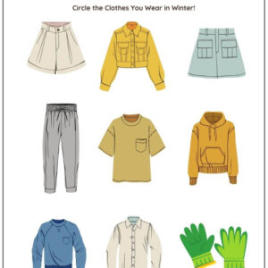 Circle The Seasonal Things & Activities Worksheet With Answers