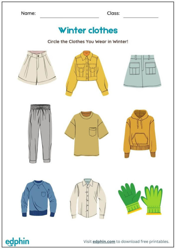 Circle The Seasonal Things & Activities Worksheet With Answers