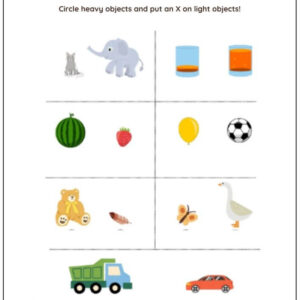 Heavy vs Light Worksheet With Answers