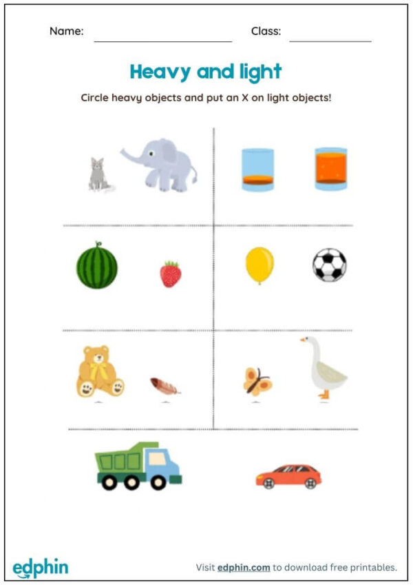 Heavy vs Light Worksheet With Answers