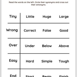Identify Synonyms And Antonyms Worksheet With Answers