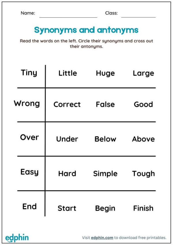 Identify Synonyms And Antonyms Worksheet With Answers