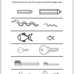 Long vs Short Worksheet With Answers