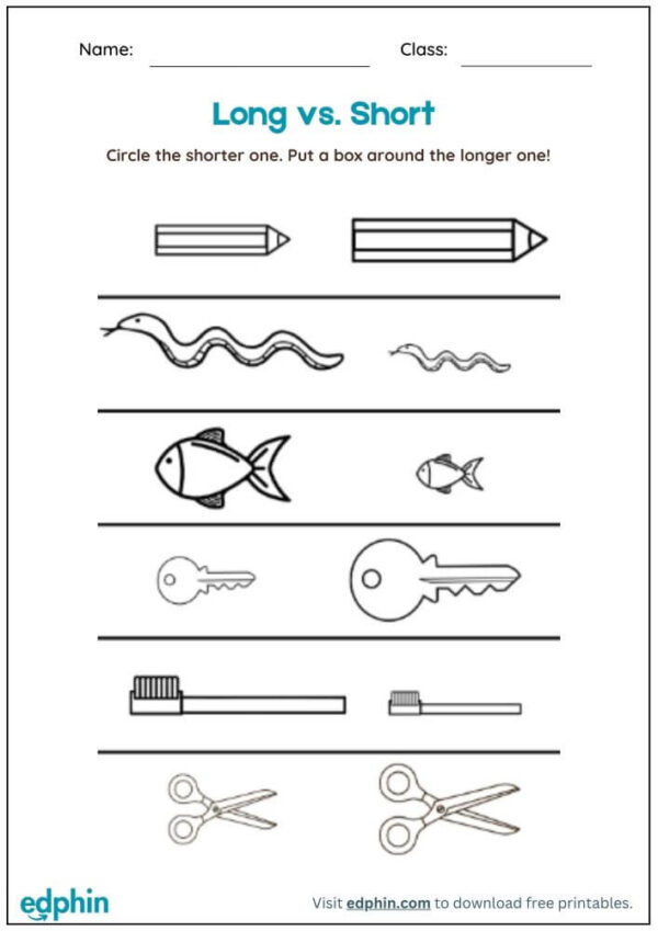 Long vs Short Worksheet With Answers