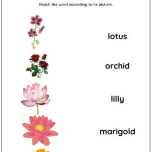 Nature Vocabulary: Match Words With Pictures Worksheet With Answers
