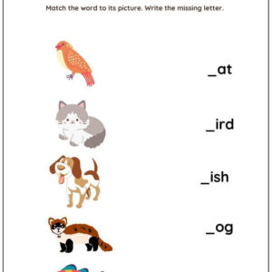 Pet Words Worksheet : Match Words with Picture Worksheet With Answer