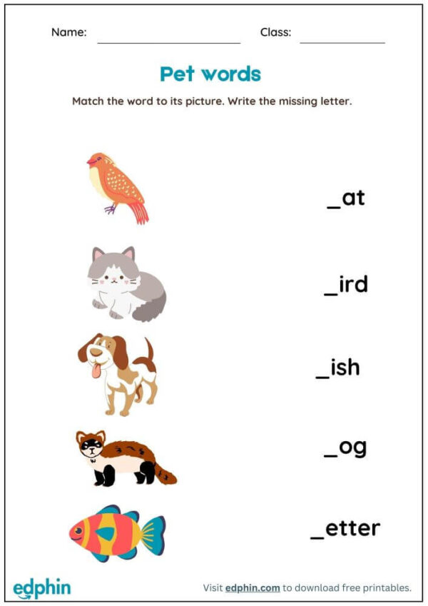 Pet Words Worksheet : Match Words with Picture Worksheet With Answer