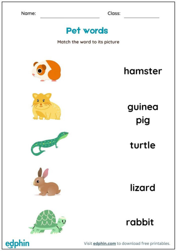 Pet Words Worksheet : Match Words with Picture Worksheet With Answer - Image 2