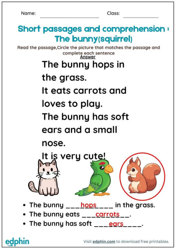 Reading Comprehension With Pictures Worksheet With Answers - Image 3