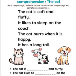 Reading Comprehension With Pictures Worksheet With Answers