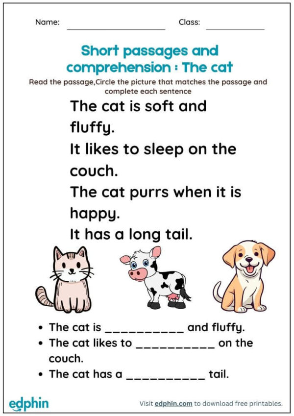 Reading Comprehension With Pictures Worksheet With Answers