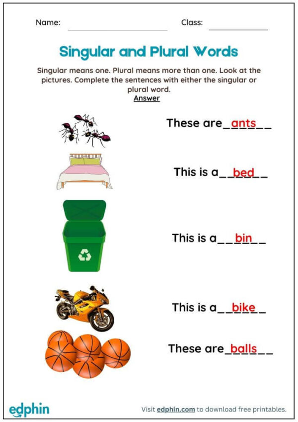 Singular And Plural Words In Sentences Worksheet With Answers - Image 3