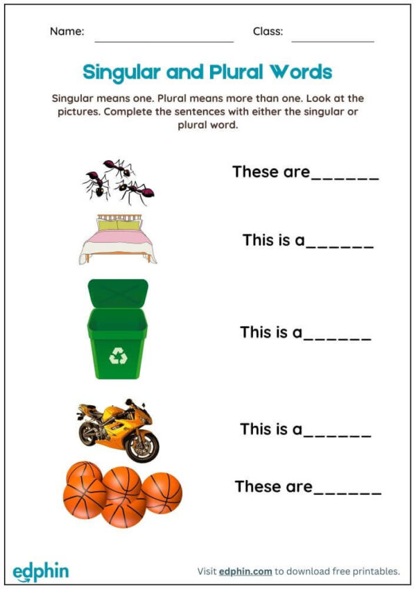 Singular And Plural Words In Sentences Worksheet With Answers - Image 2