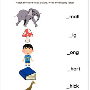 Words for Sizes Worksheet : Match Words with Picture Worksheet With Answer