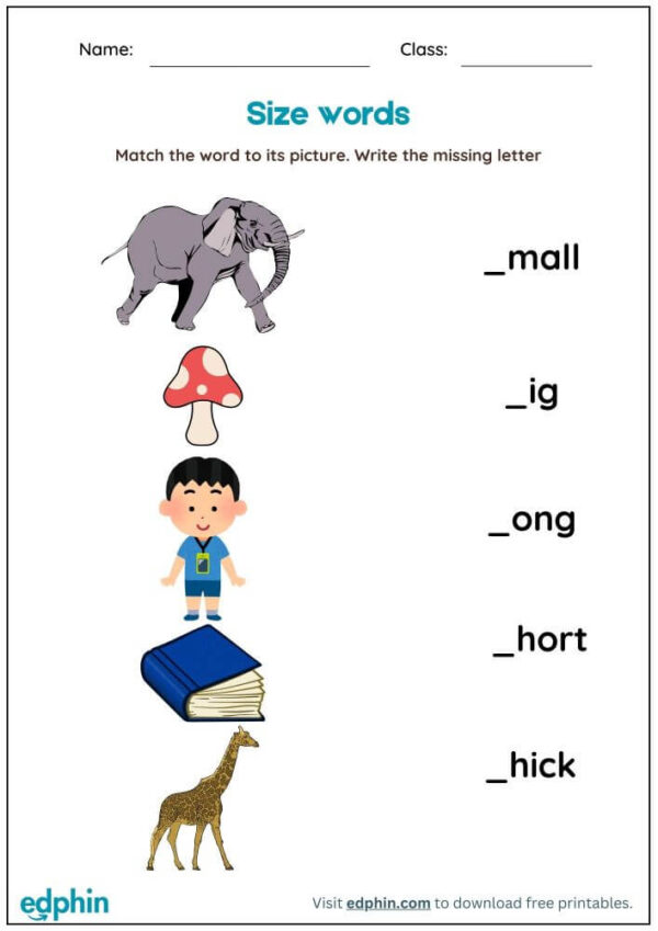 Words for Sizes Worksheet : Match Words with Picture Worksheet With Answer