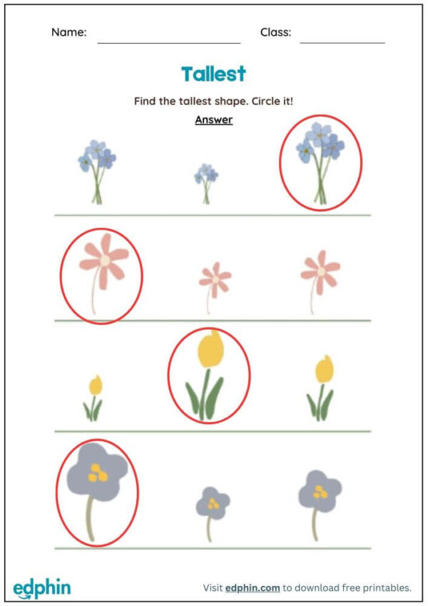 Tall vs Short Worksheet With Answers - Image 3