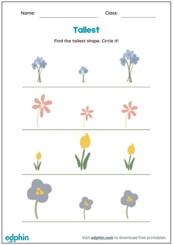 Tall vs Short Worksheet With Answers - Image 2