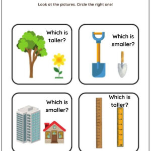Tall vs Short Worksheet With Answers