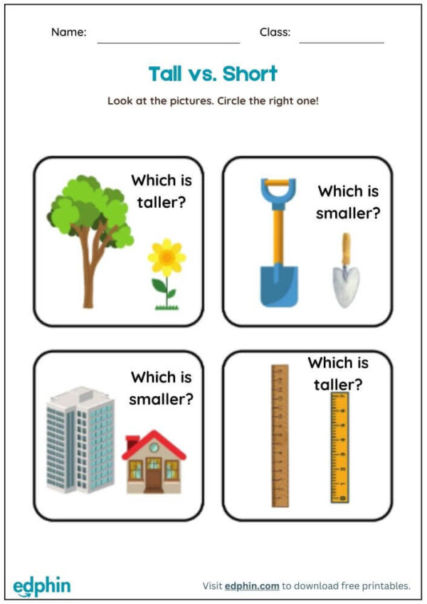 Tall vs Short Worksheet With Answers
