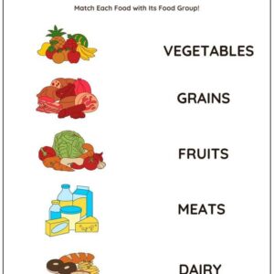 Types Of Food Worksheet With Answers