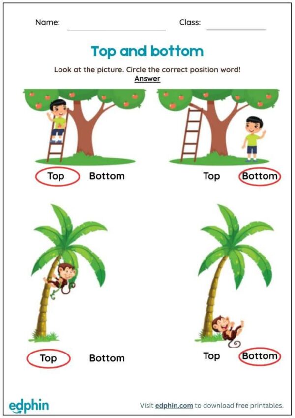 Above & Below Worksheet With Answers - Image 3