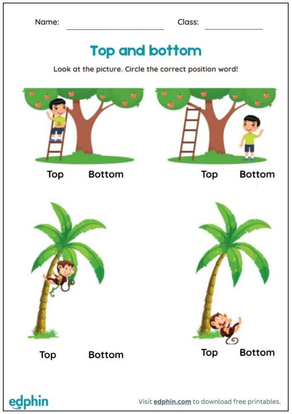 Above & Below Worksheet With Answers - Image 2