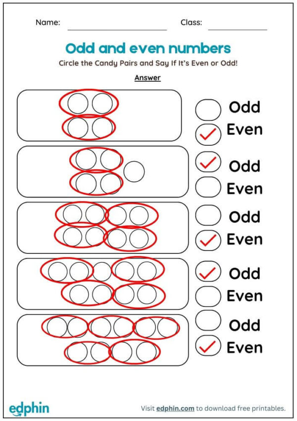 Count And Find Odd Or Even Number Worksheet With Answers - Image 3