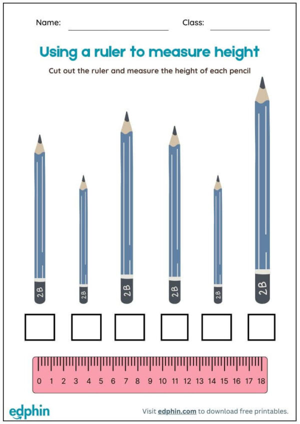 Measurement (With Cut-Out Ruler) Worksheet With Answers - Image 2