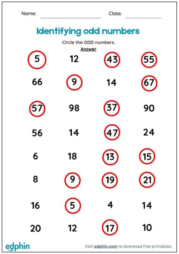 Identify Odd & Even Number Worksheet With Answers - Image 3