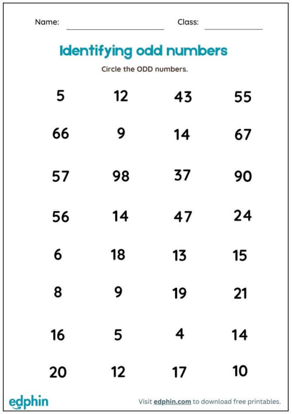 Identify Odd & Even Number Worksheet With Answers - Image 2