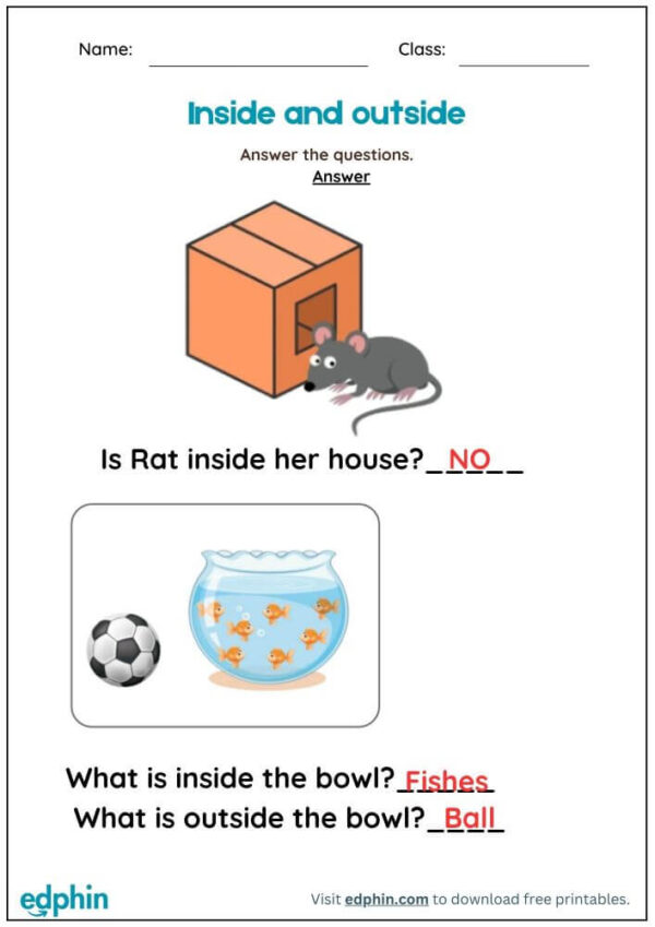 Inside And Outside Worksheet With Answers - Image 3