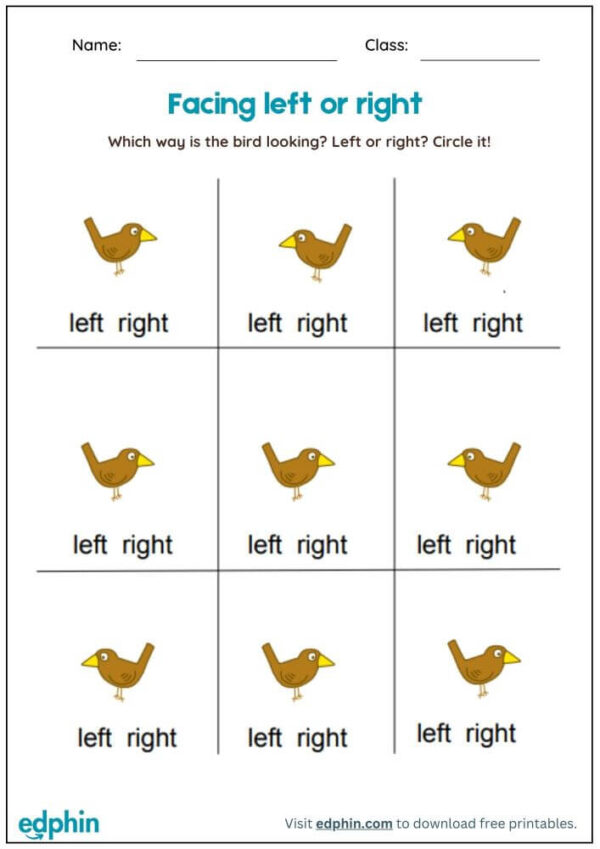 Left & Right Worksheet With Answers - Image 3