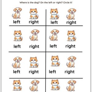Left & Right Worksheet With Answers