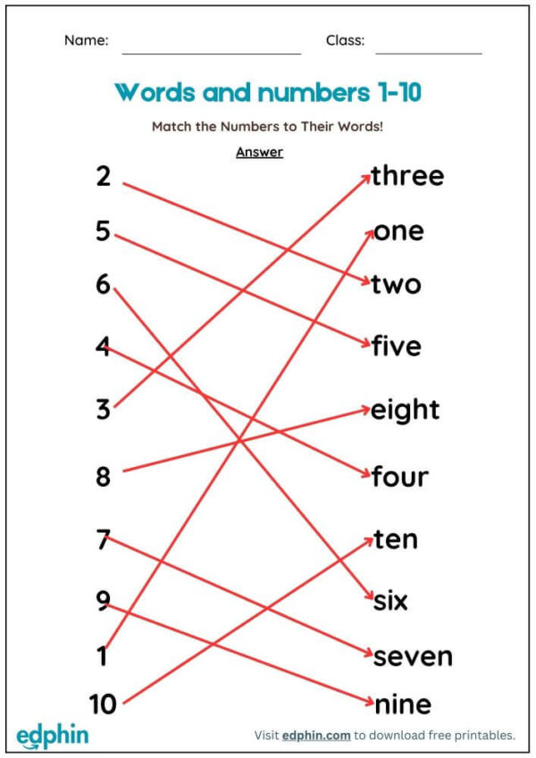 Match Numbers To Their Words Worksheet With Answers - Image 3