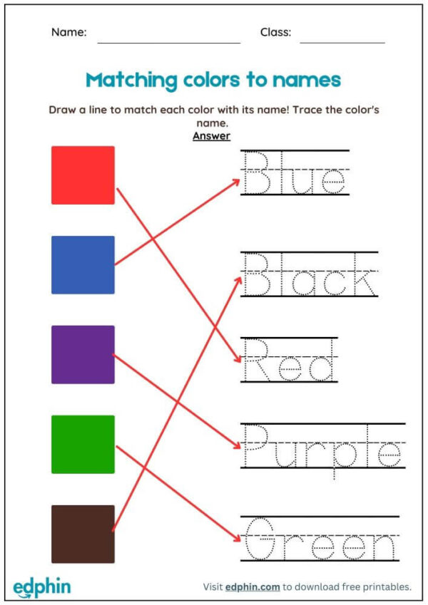 Match Colors To Their Names Worksheet With Answers - Image 3
