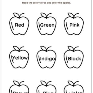 Read And Color Worksheet With Answers