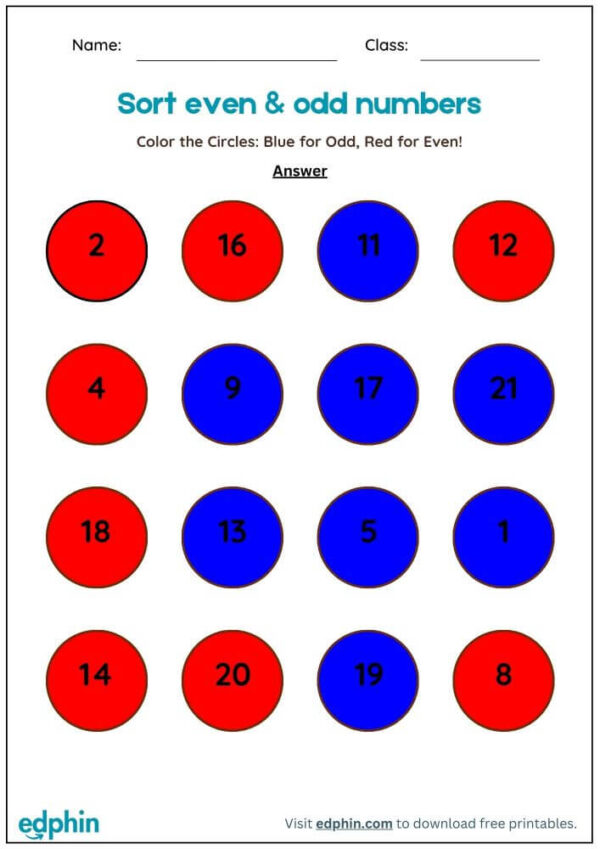 Sort Even & Odd Number Worksheet With Answers - Image 3