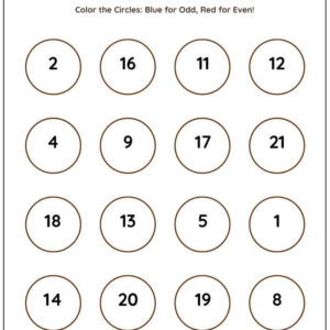 Sort Even & Odd Number Worksheet With Answers