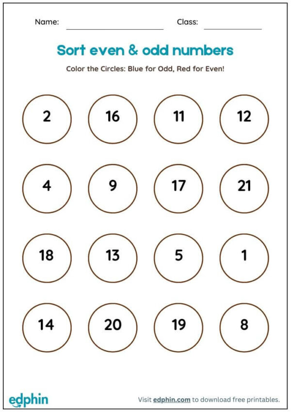 Sort Even & Odd Number Worksheet With Answers