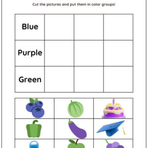 Sort Objects By Color Worksheet With Answers