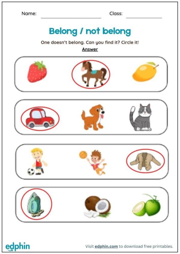 Belong Or Not Belong Worksheet With Answers - Image 3