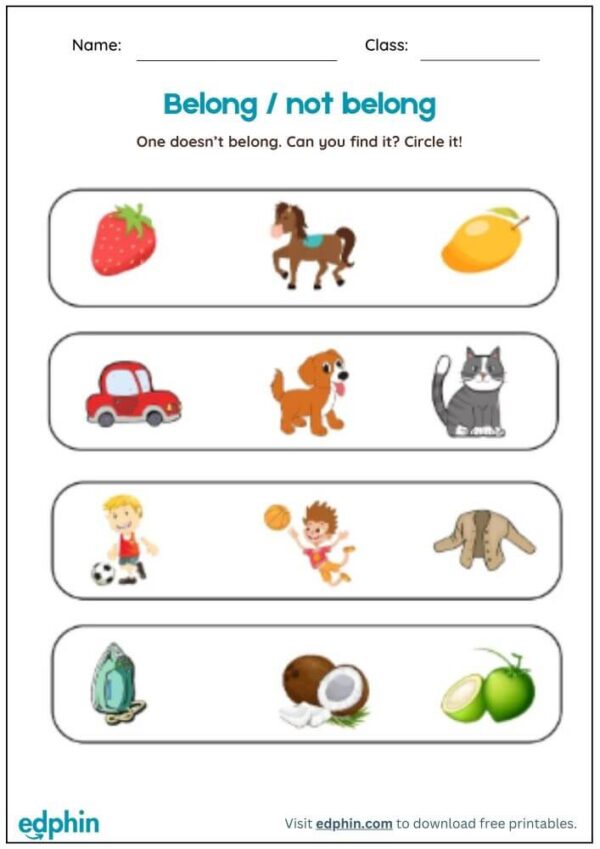 Belong Or Not Belong Worksheet With Answers - Image 2