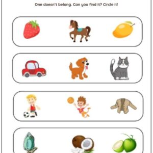 Belong Or Not Belong Worksheet With Answers