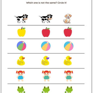 Same vs Different Worksheet With Answers